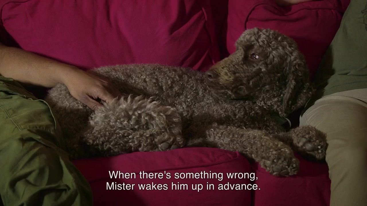 Buddy screenshot 2