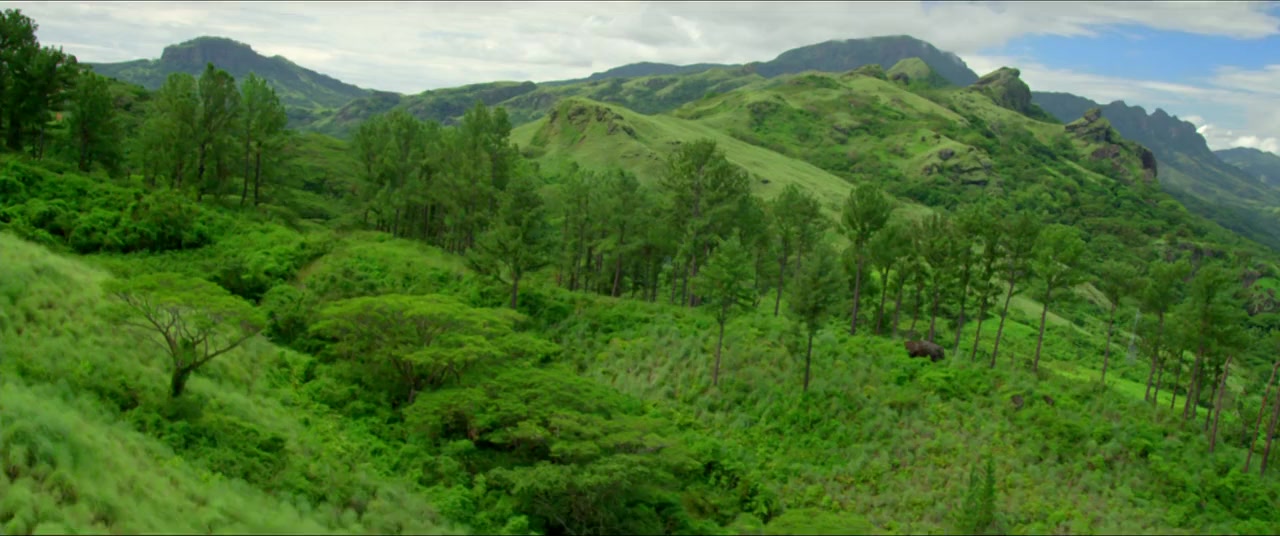 Bula Quo! screenshot 1