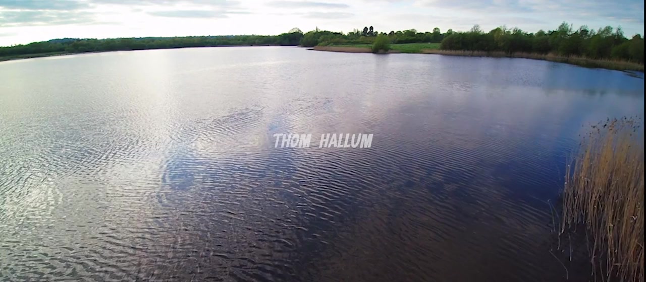 Bull Shark 3 screenshot 1