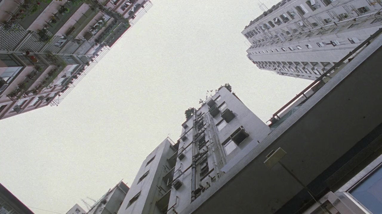 Bau lit ying ging screenshot 3