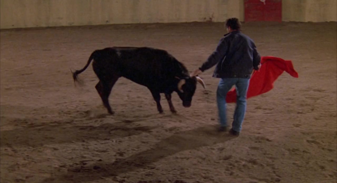 Bullfighter screenshot 1