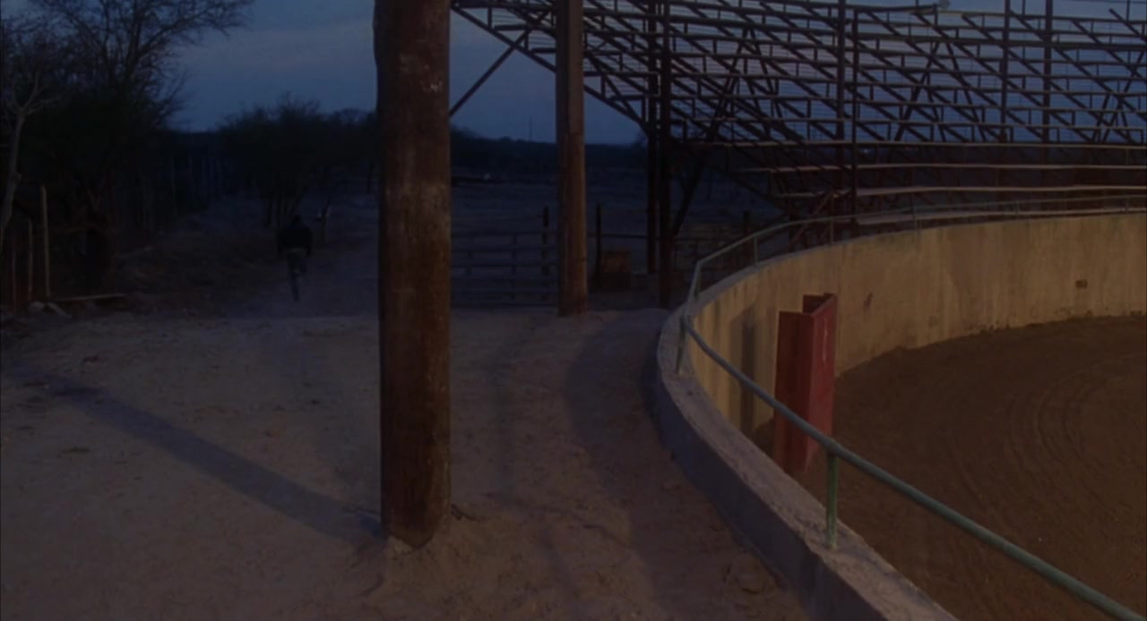 Bullfighter screenshot 2