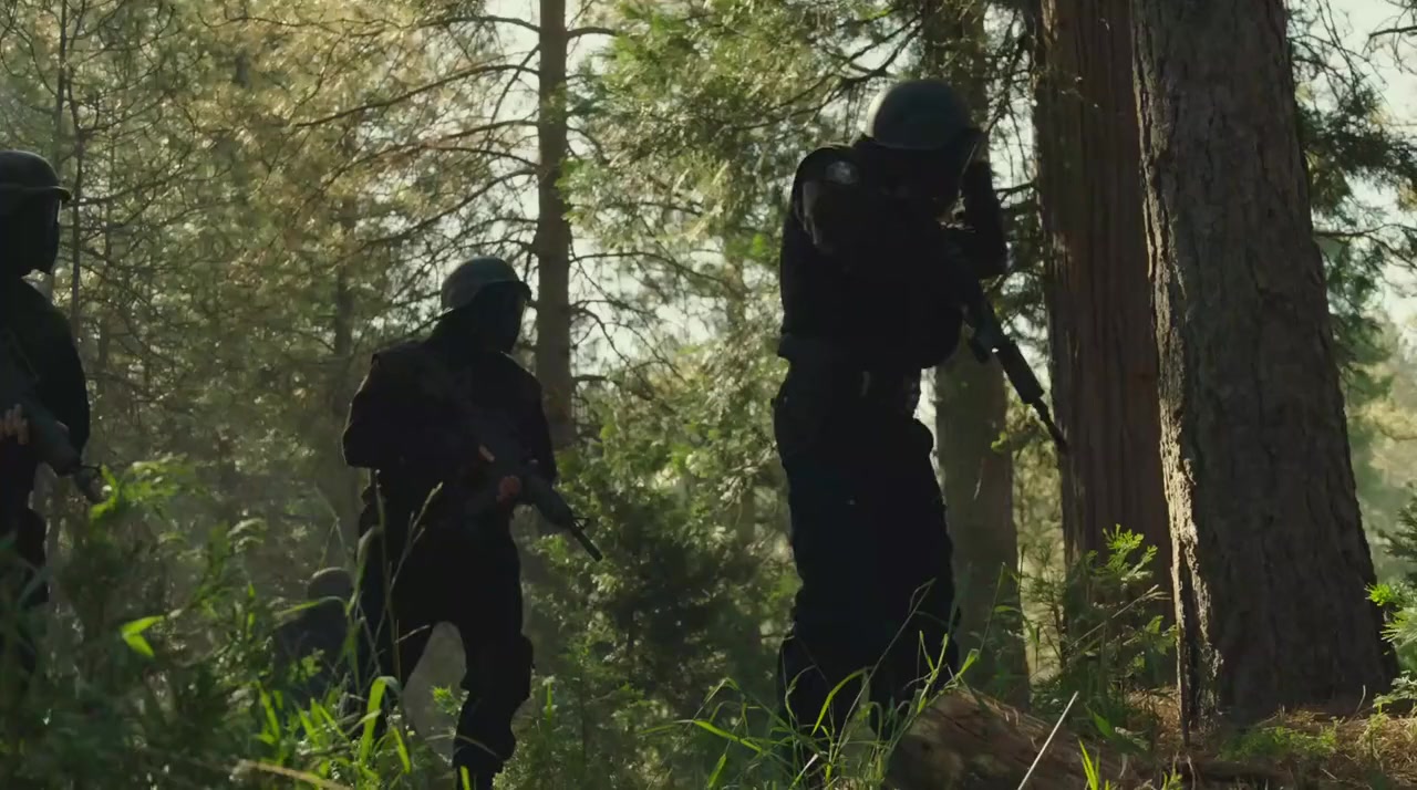 Bumblebee screenshot 1