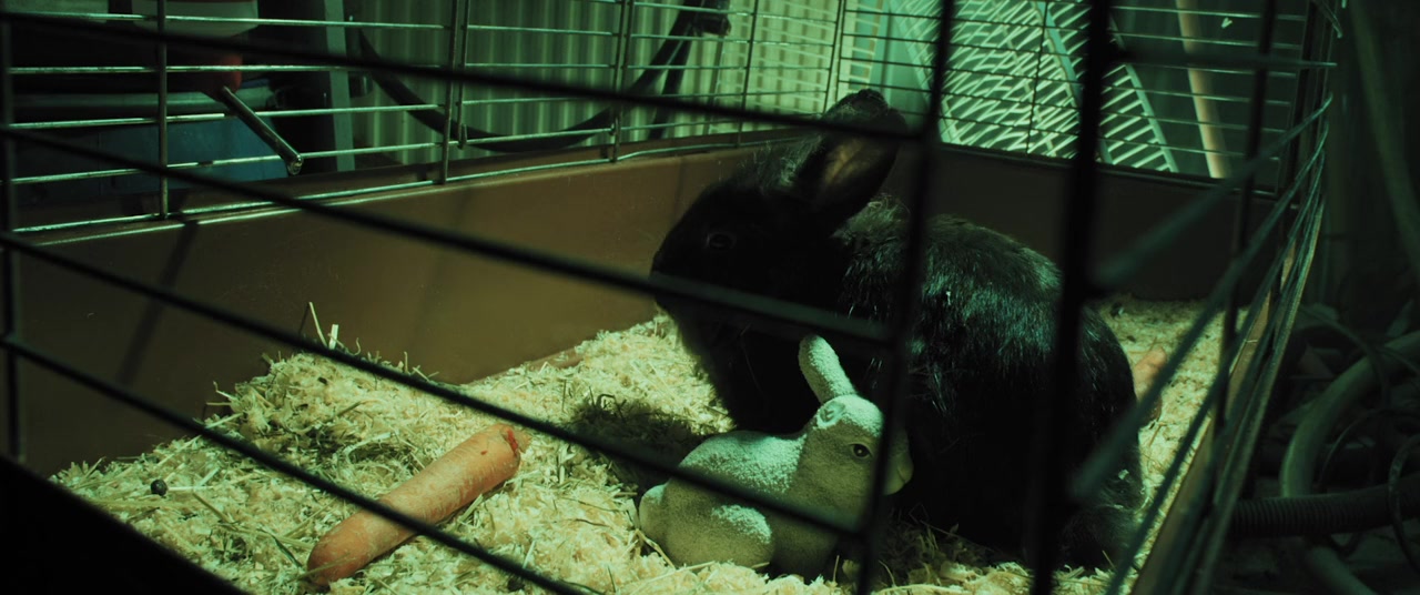 Bunny the Killer Thing screenshot 1