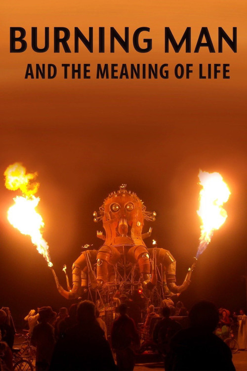 Burning Man and the Meaning of Life (2013) poster