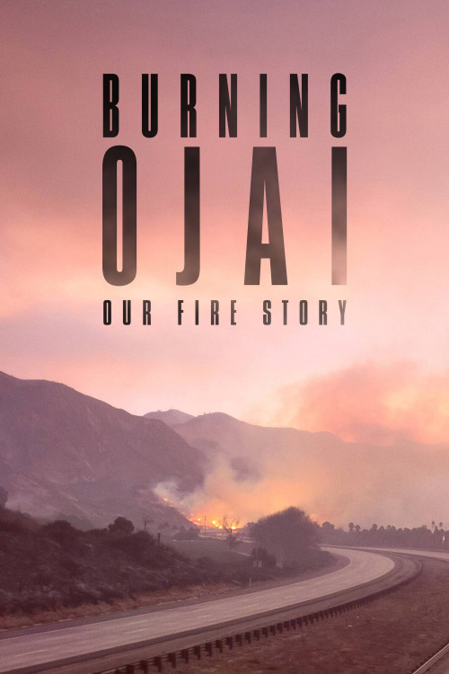 Burning Ojai: Our Fire Story (2020) poster