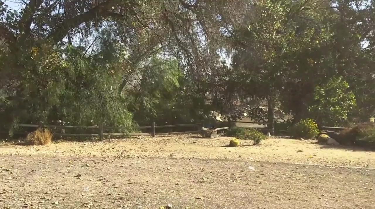 Burning Ojai: Our Fire Story screenshot 2