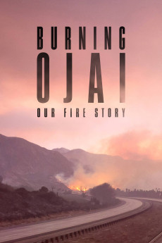 Burning Ojai: Our Fire Story (2020) poster