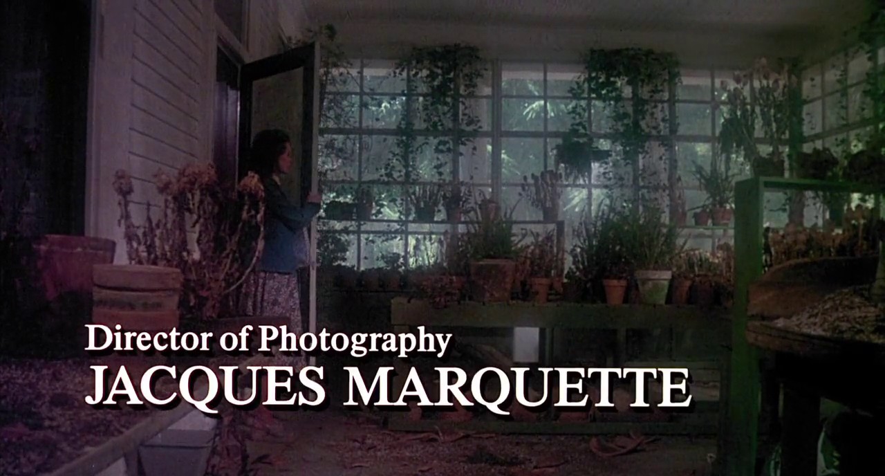 Burnt Offerings screenshot 2