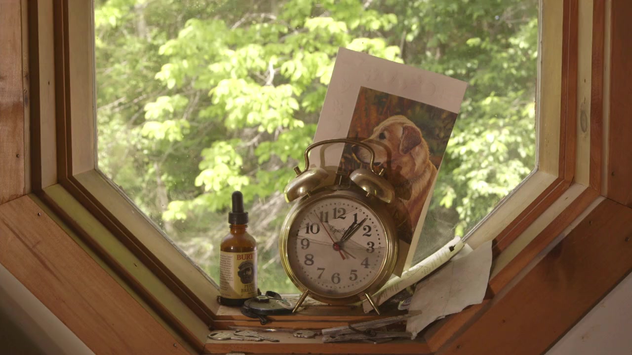 Burt's Buzz screenshot 3
