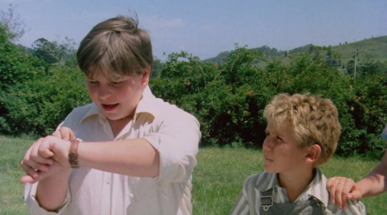 Bush Christmas screenshot 3
