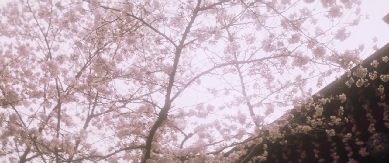 Bushido screenshot 2