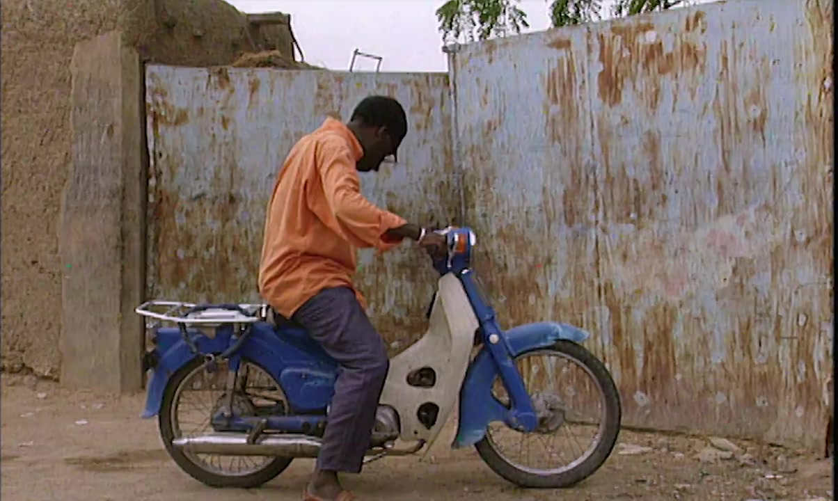 Bye Bye Africa screenshot 1