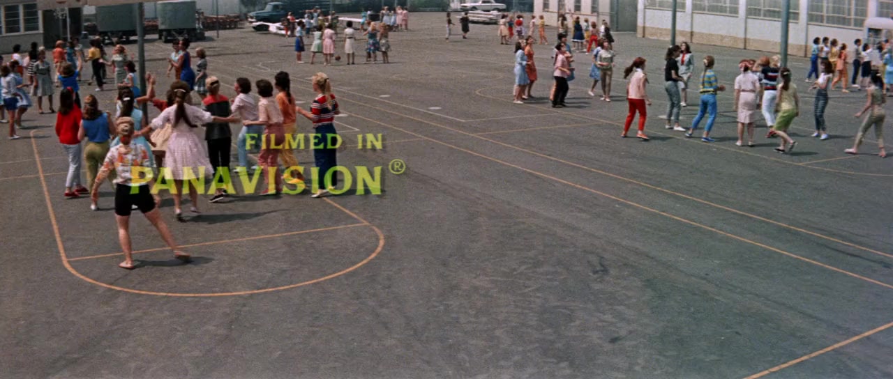 Bye Bye Birdie screenshot 2