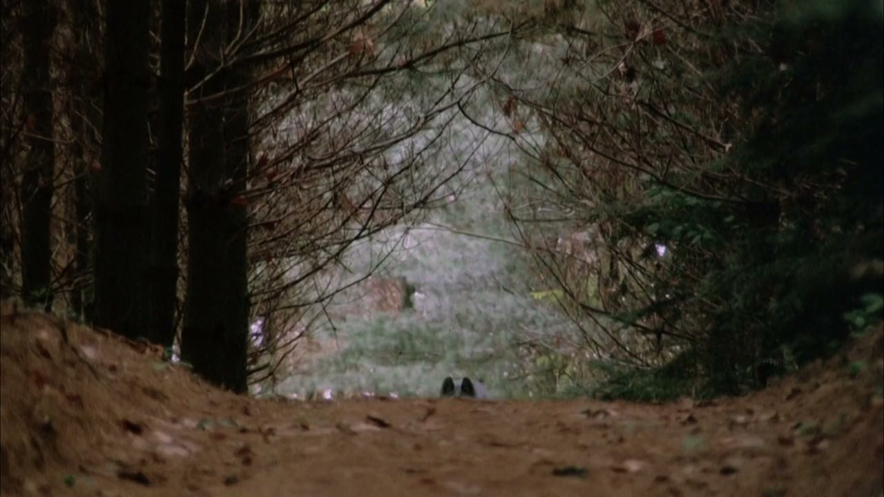 Bye bye chaperon rouge screenshot 2
