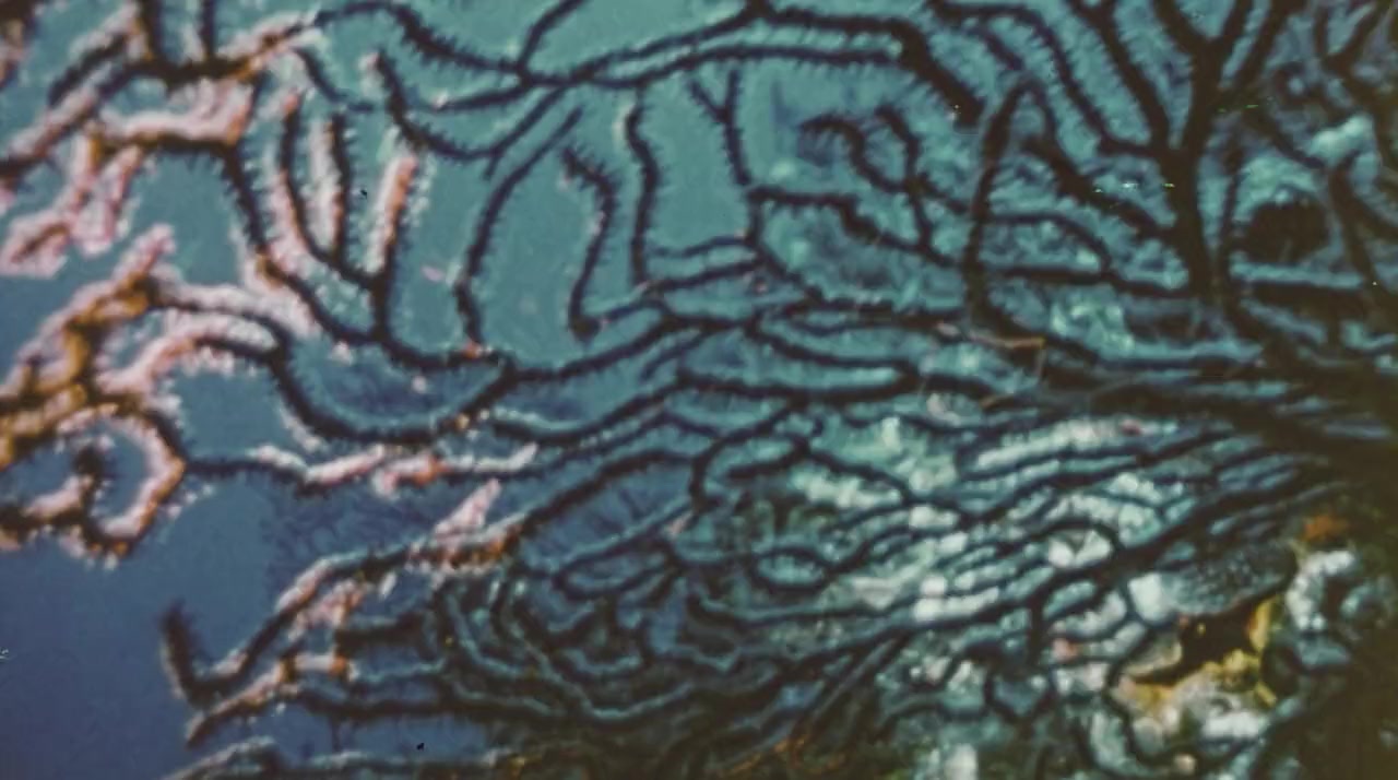 Go for It screenshot 1