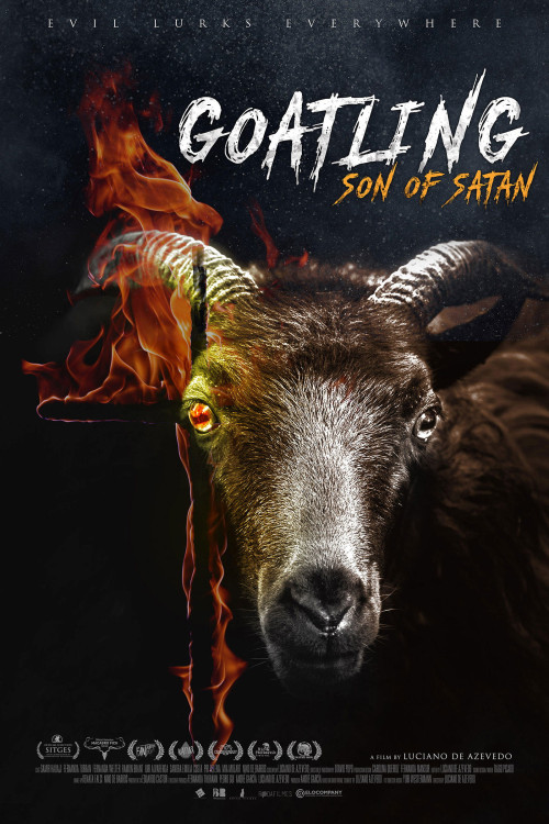 Cabrito (2020) poster