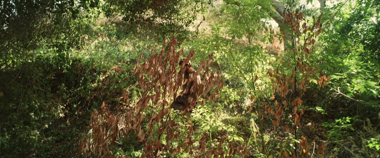 God's Fool screenshot 1