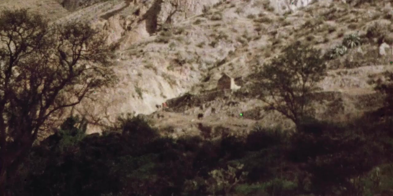 Godspeed, Los Polacos! screenshot 2