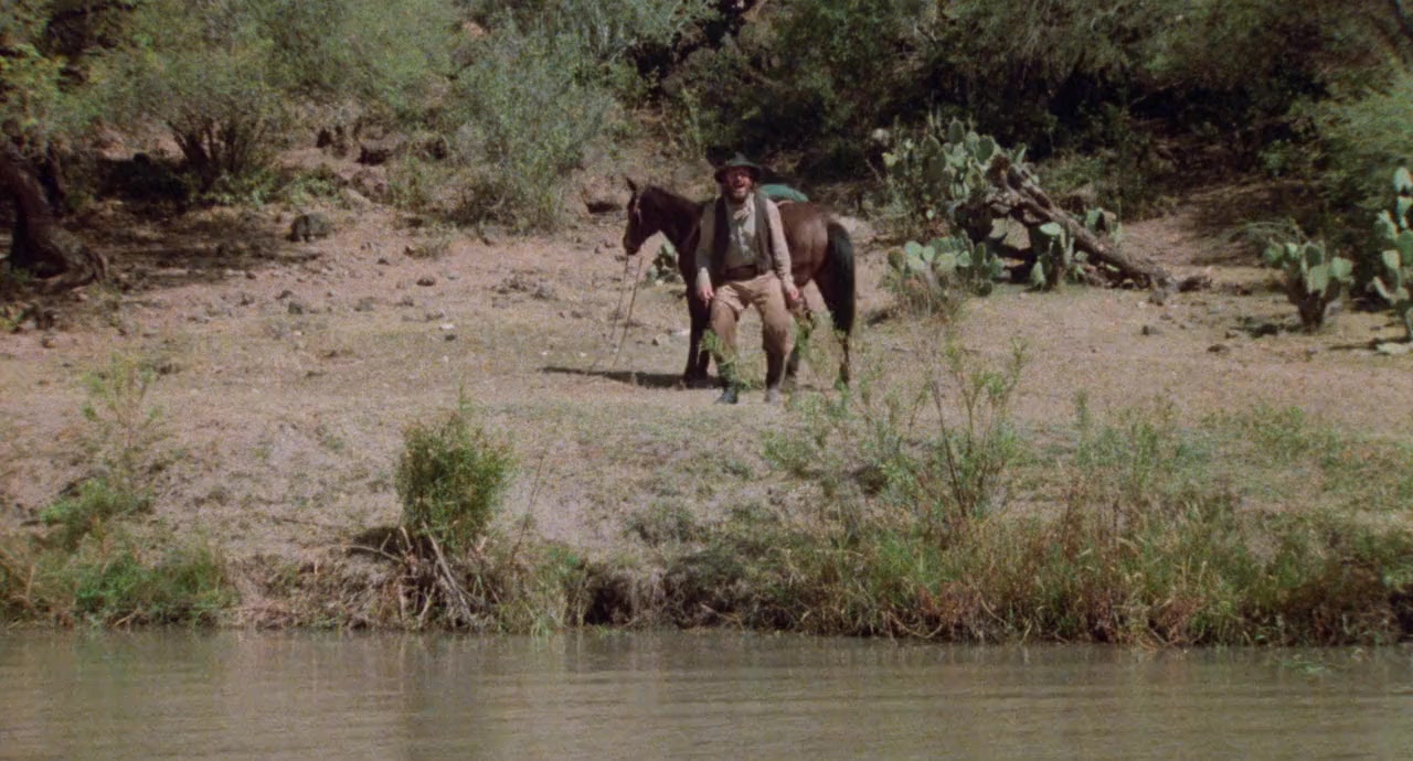 Goin' South screenshot 2