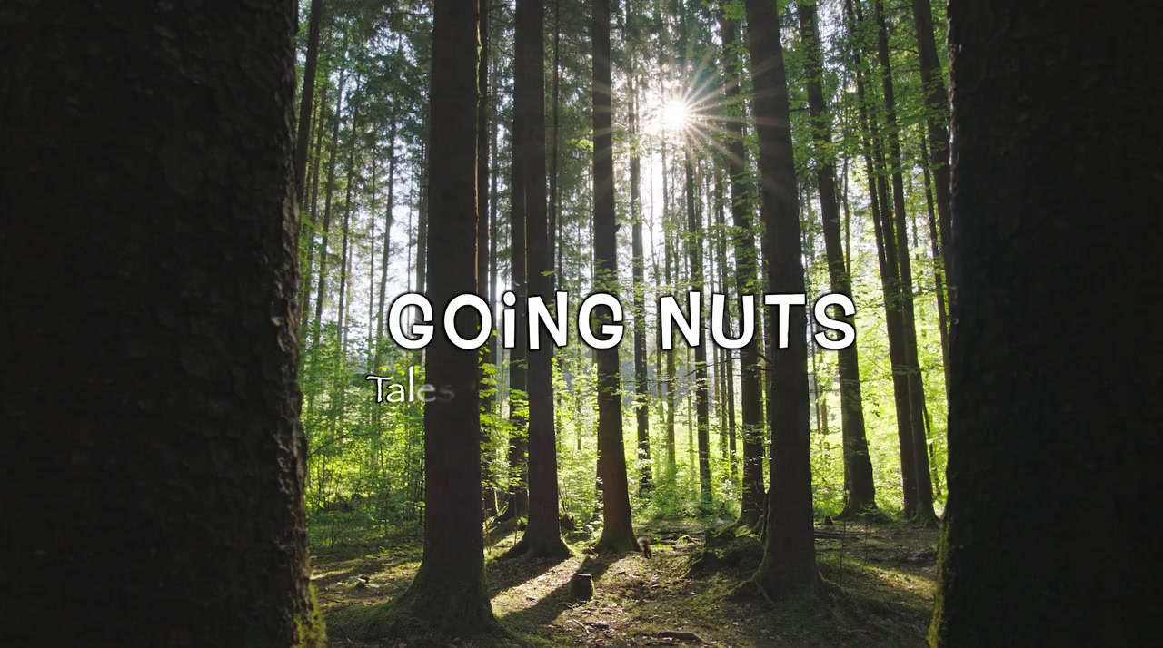 Going Nuts: Tales from the Squirrel World screenshot 2