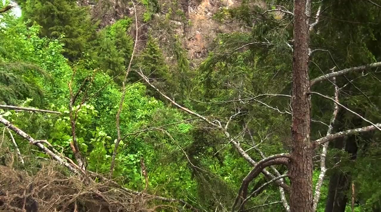 Gold Blooded screenshot 3