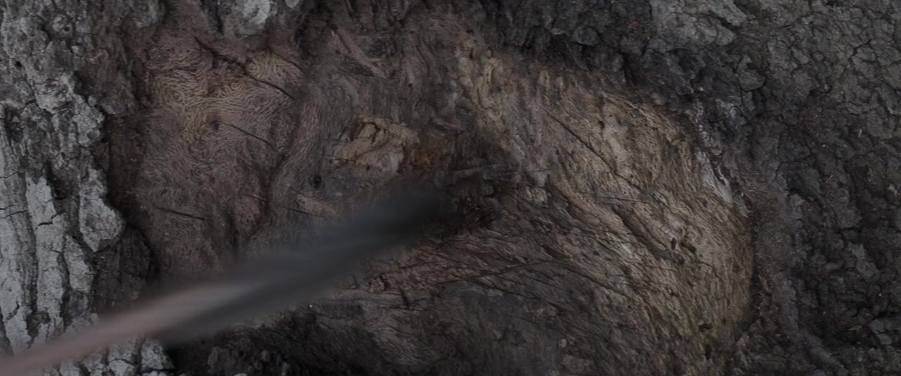 Gone Are the Days screenshot 2