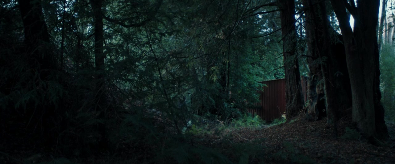 Gone in the Night screenshot 1