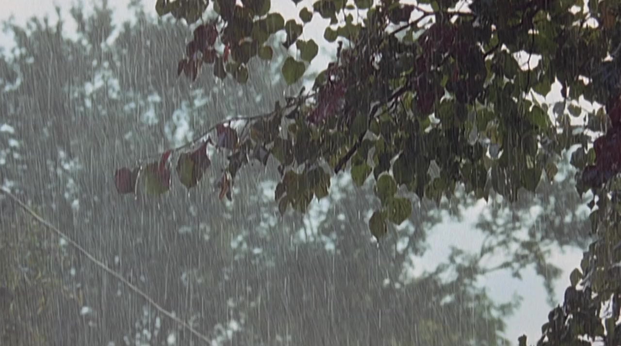 Gooby screenshot 3