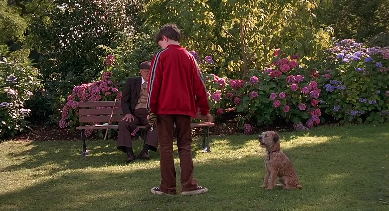Good Boy! screenshot 1