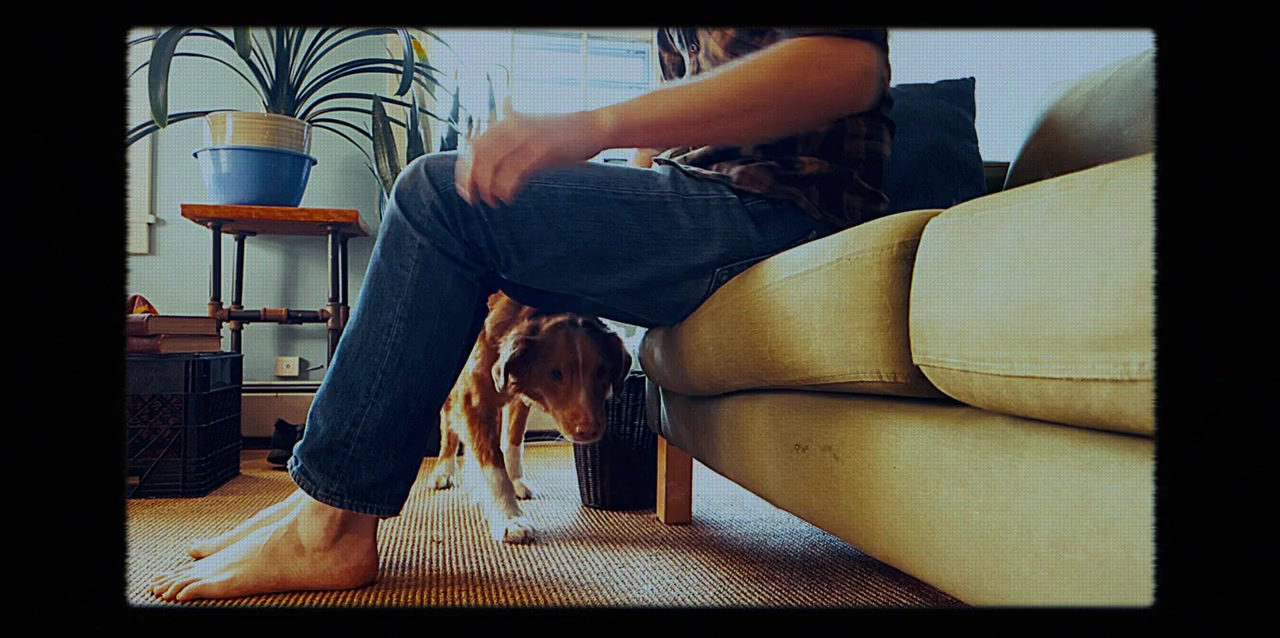 Good Boy screenshot 2