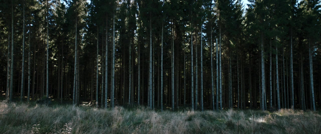 Good Favour screenshot 1