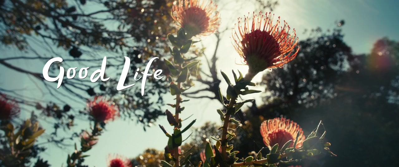 Good Life screenshot 1