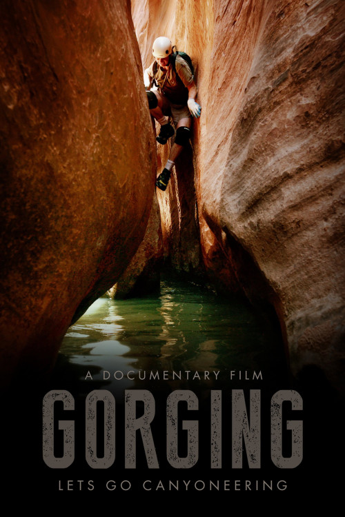 Gorging (2013) poster