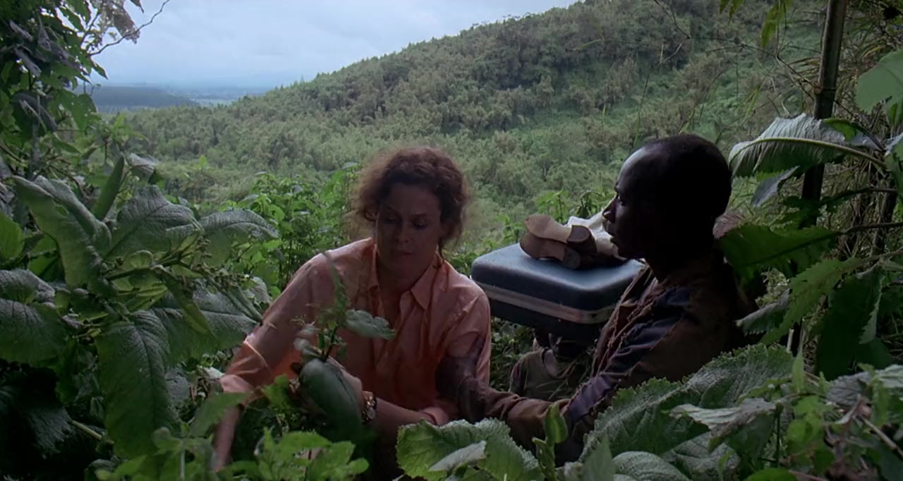 Gorillas in the Mist: The Story of Dian Fossey screenshot 2