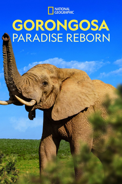 Gorongosa: Paradise Reborn (2022) poster