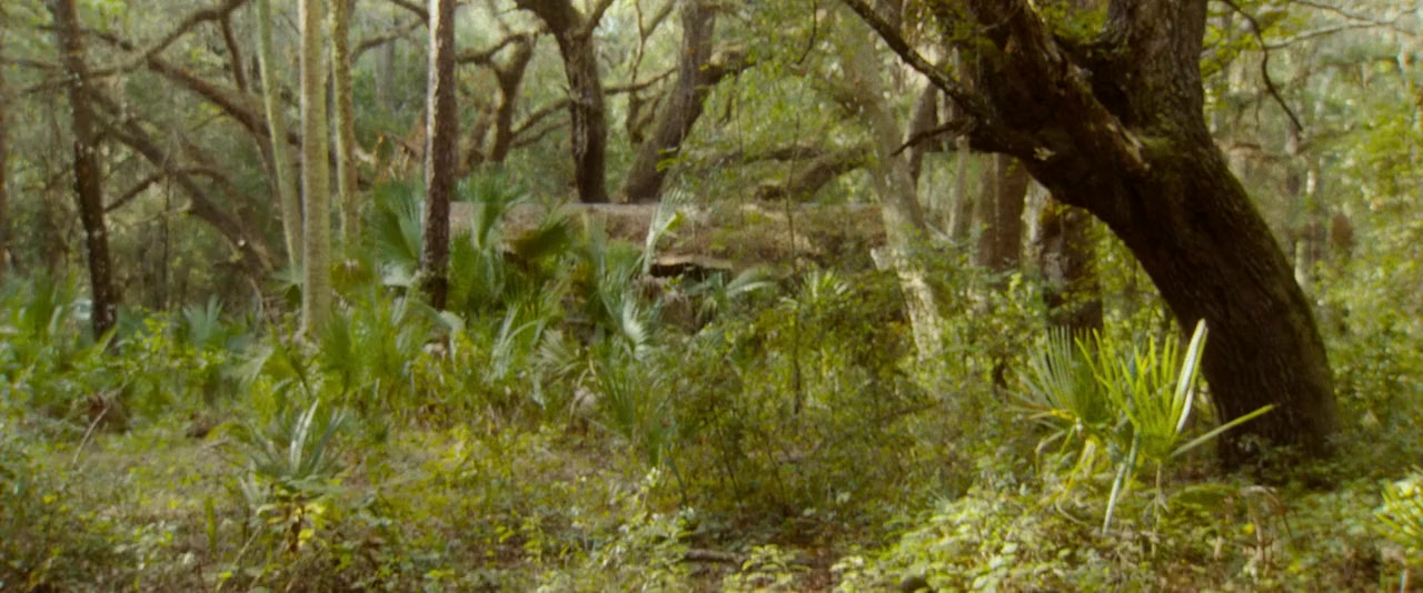 Gator Face screenshot 2