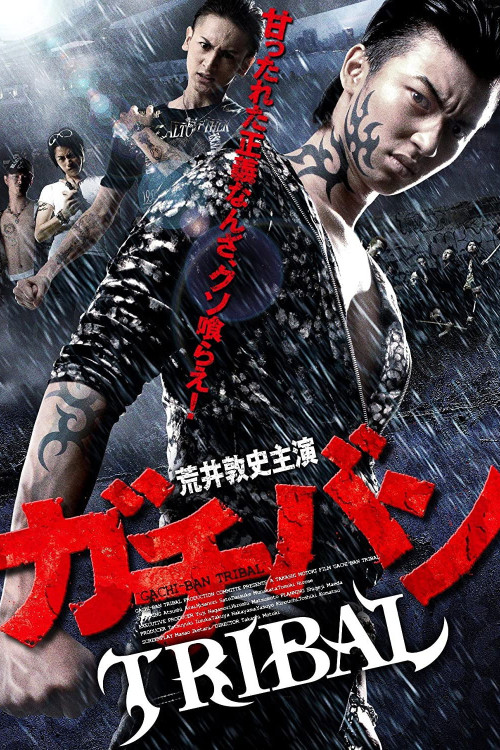 Gachiban Tribal (2012) poster