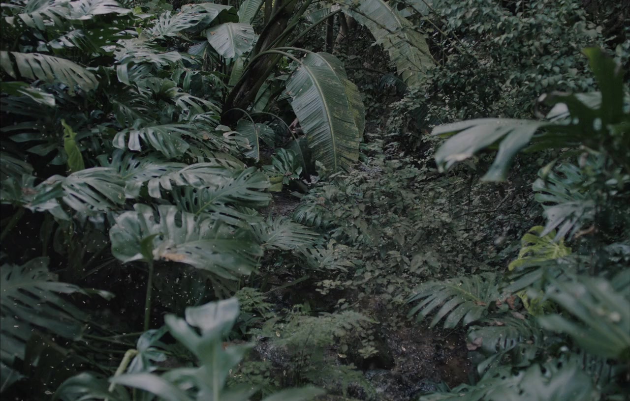 Gaia screenshot 2