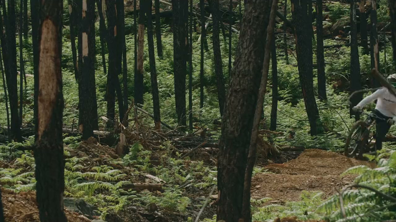 Gamble screenshot 1