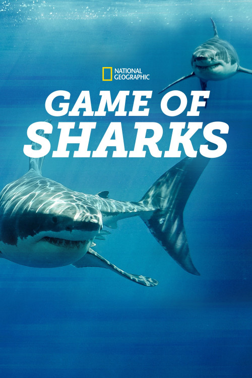 Game of Sharks (2022) poster