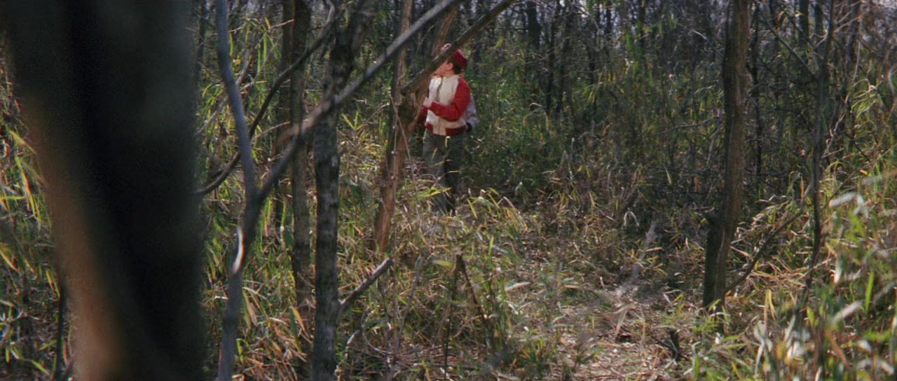 Gamera tai daiakuju Giron screenshot 1