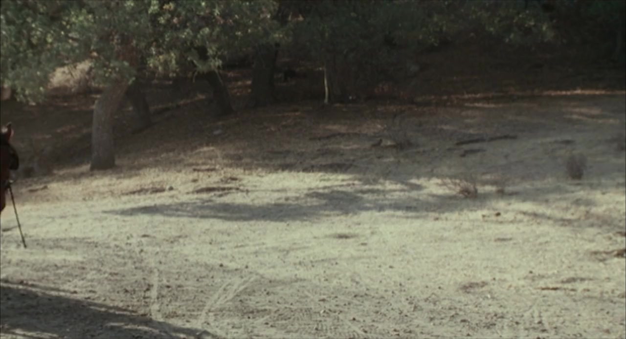 Gang of Roses screenshot 2