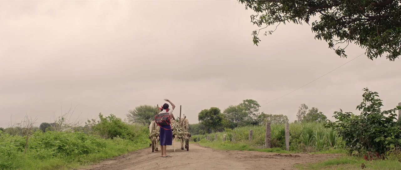 Gandhi Tatha Chettu screenshot 2