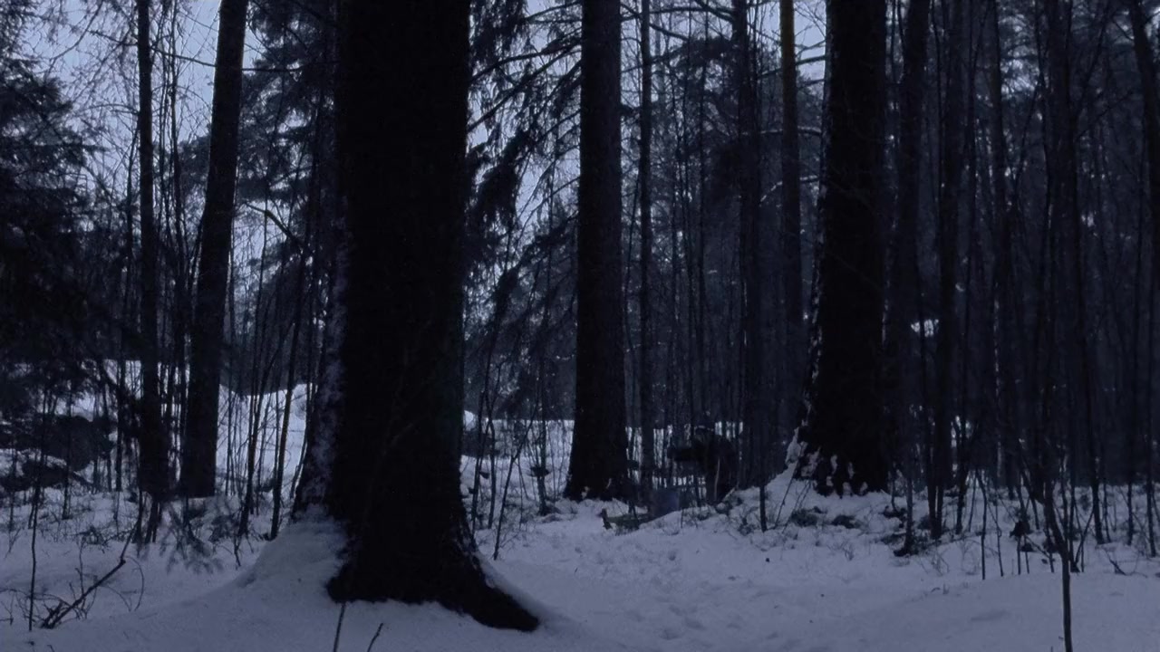 Ganes screenshot 2
