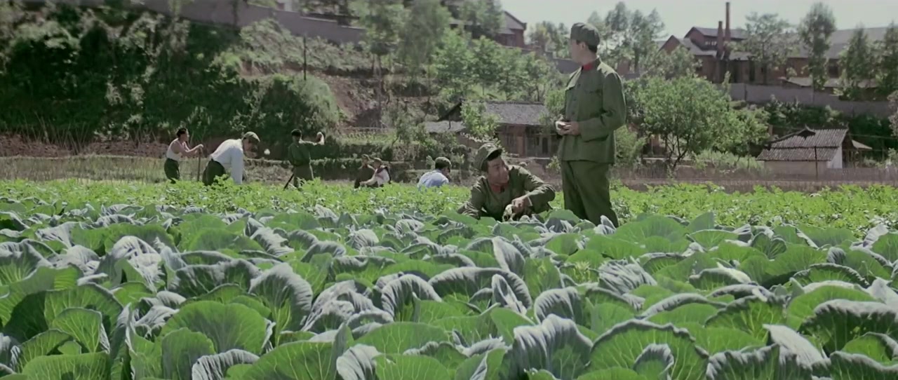 Gao shan xia de hua huan screenshot 1
