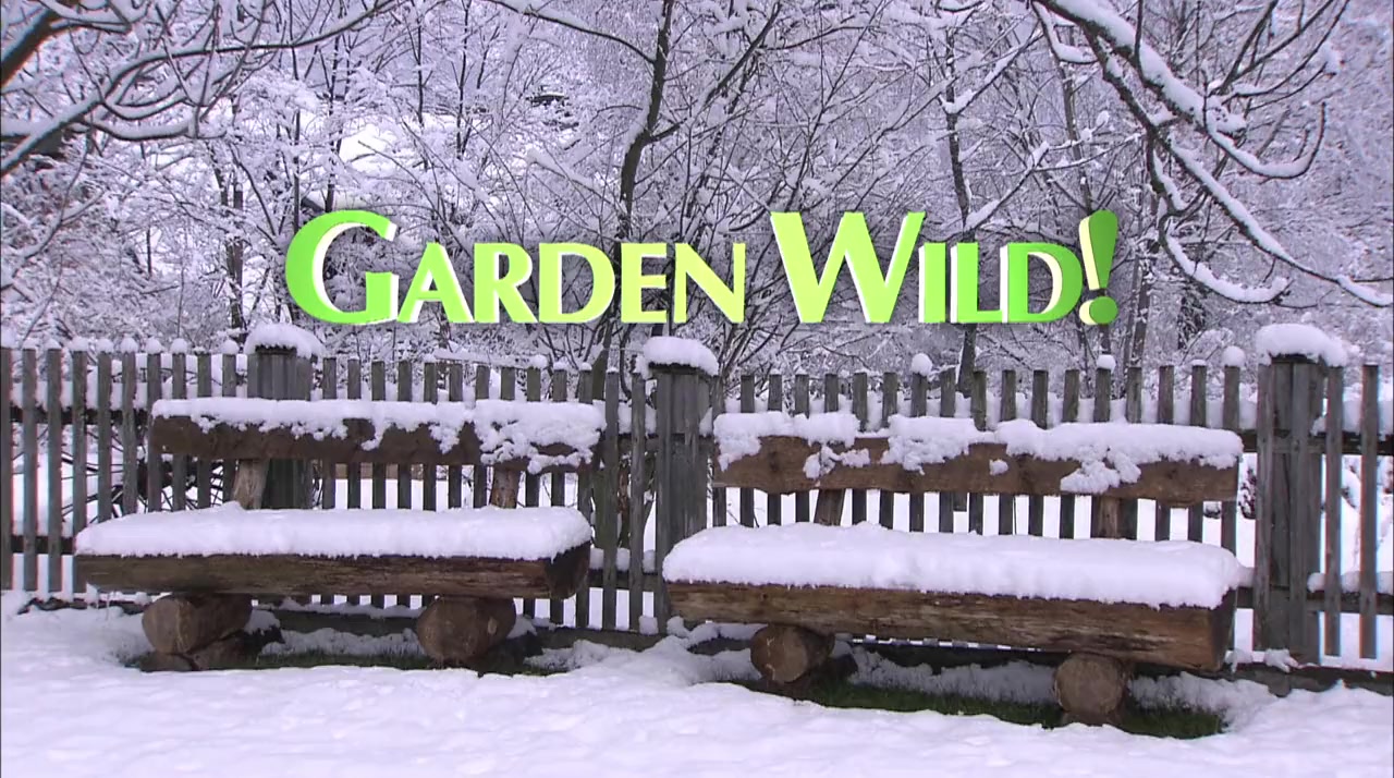 Garden Wild! screenshot 3