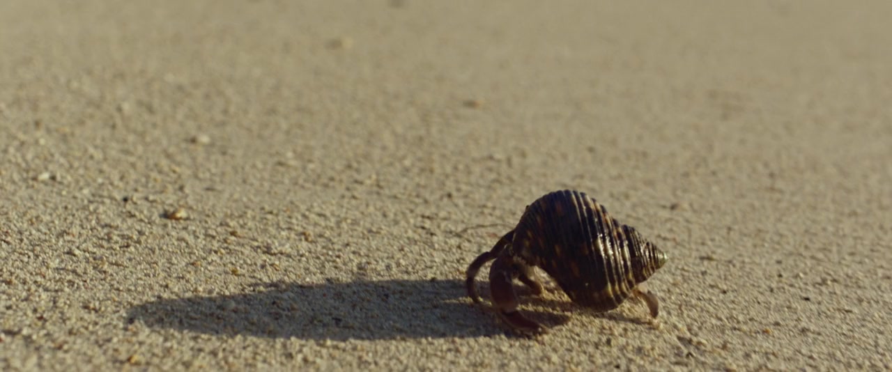 Gary of the Pacific screenshot 3