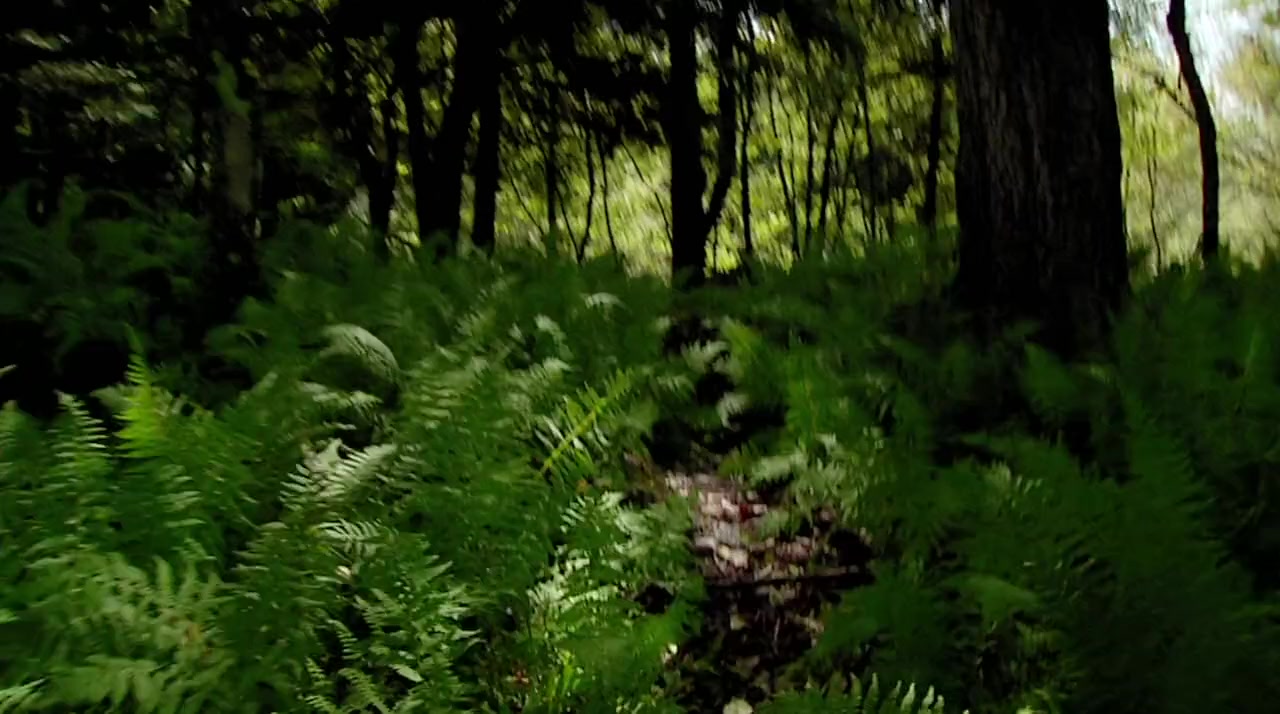 Gasland Part II screenshot 1