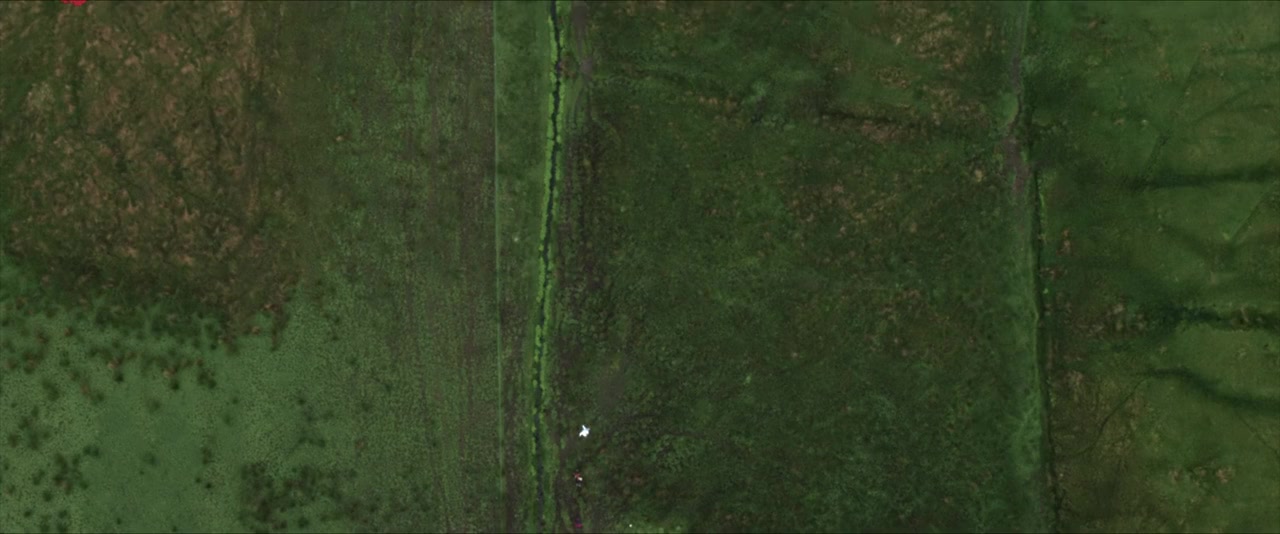Boyz in the Wood screenshot 1